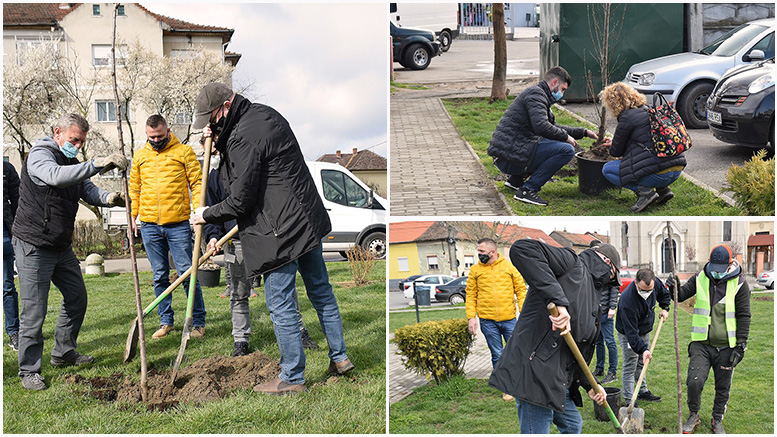 FOTO. Electrolux și Primăria Satu Mare, plantări de arbori într-un parc din municipiu
