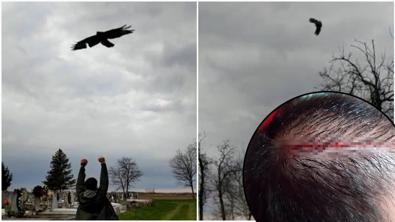 FOTO/VIDEO. Situație inedită. Un uliu atacă localnicii care merg la cimitir