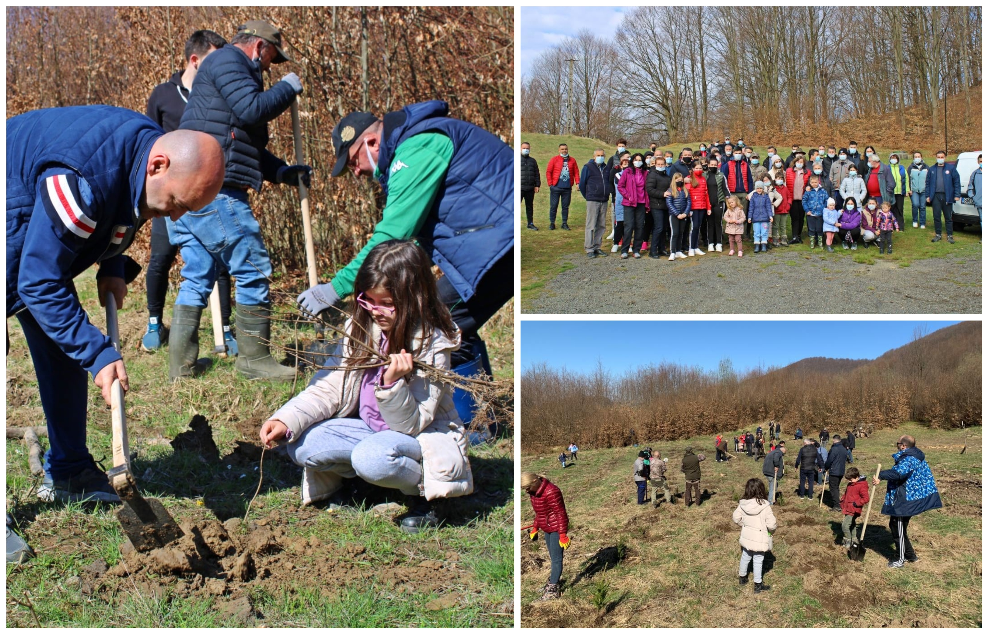 FOTOGALERIE. Mobilizare în județul Satu Mare. Copii, părinți și bunici au plantat sute de copaci