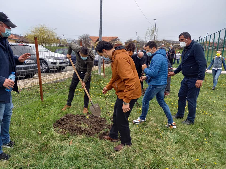FOTOGALERIE. Primarul din Tășnad a scos angajații Primăriei la plantat de copaci. Și asistații la curățenie