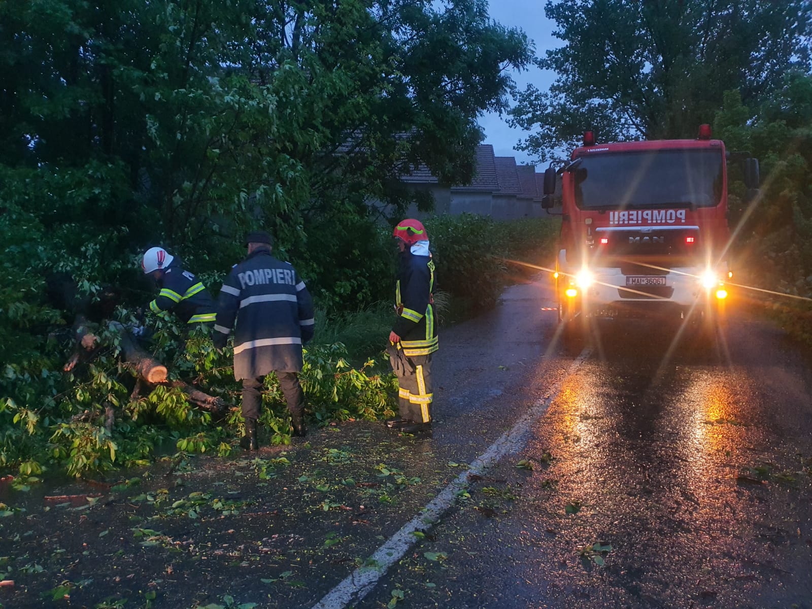 FOTO. Copac căzut pe drum în județul Satu Mare. Avertizare de vijelii