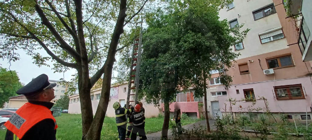 FOTO/VIDEO. Intervenție inedită a pompierilor în Micro 17. Au fost chemate și alte ajutoare