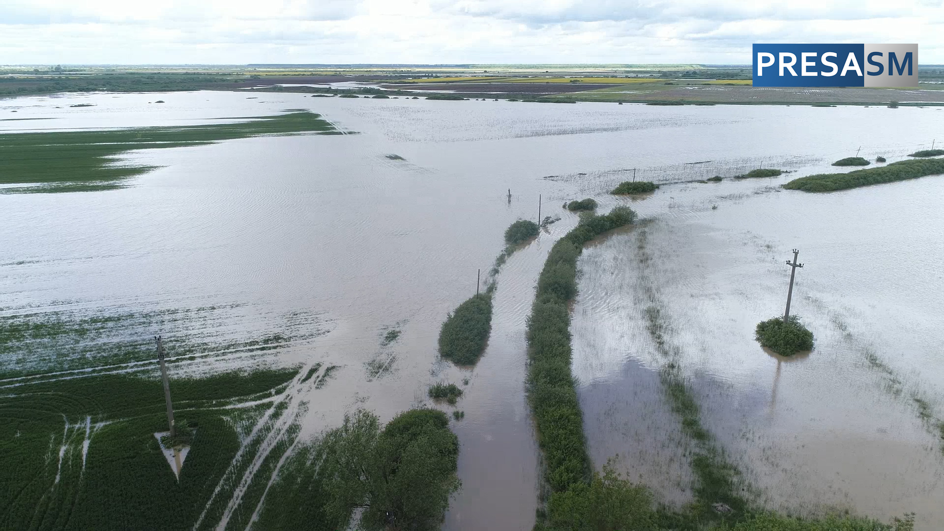 FOTO/VIDEO. Inundațiile și vremea au făcut ravagii în agricultura din județ. Pierderi de până la 40%