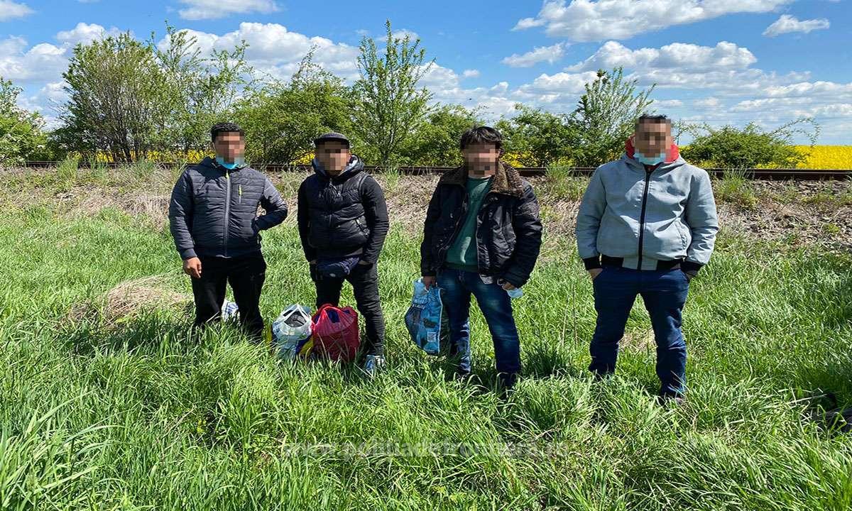 FOTO. Încercau să ajungă în Franța. Marocanii au fost opriți de frontieriștii sătmăreni