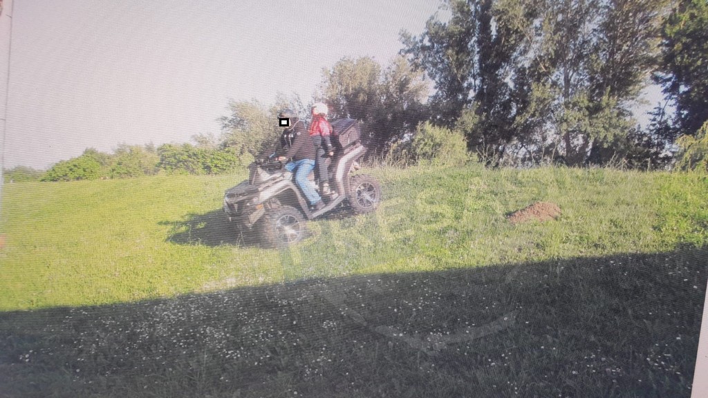 FOTOGALERIE. Tupeu, nu glumă! Cu ATV-ul pe dig, chiar lângă sediul Poliției Locale Satu Mare