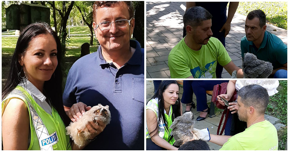 FOTO. Pui de bufniță, salvat după ce a căzut din cuib, în Grădina Romei