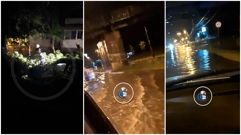 FOTO/VIDEO. Furtună puternică la Satu Mare. Copaci doborâți de vijelii, pasaje inundate