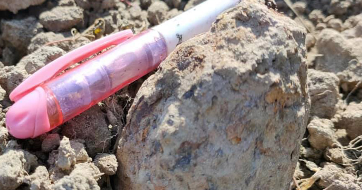 FOTO. Sătmăreanul era la prășit când a dat peste o grenadă. A sunat de urgență la pompieri