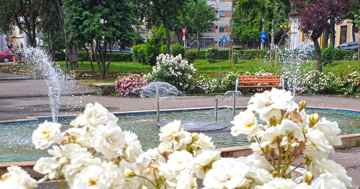 Vești de la meteorologi. Cum va fi vremea la Satu Mare în următoarea săptămână. Temperaturi aproape de 30° Celsius