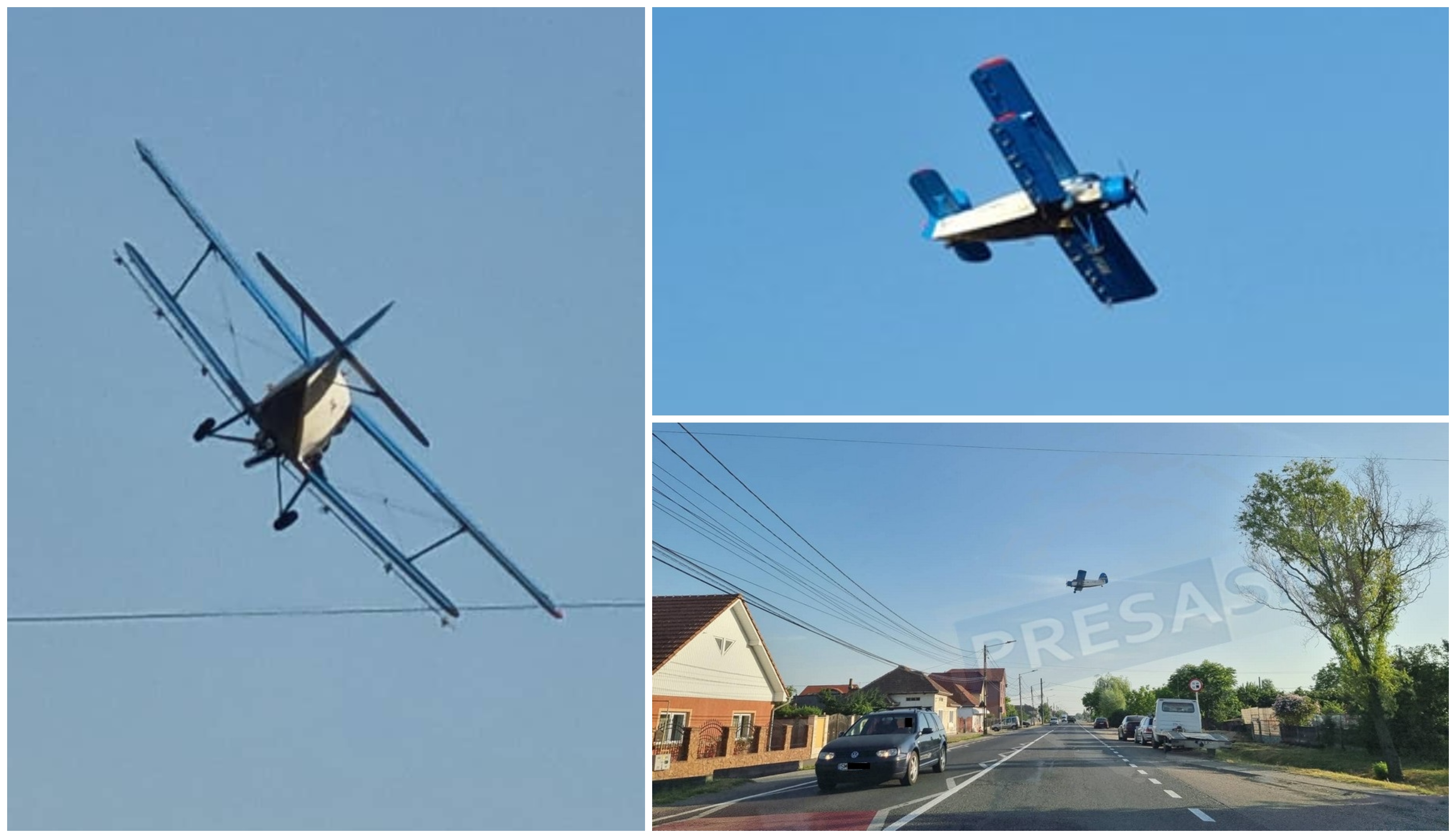 FOTO/VIDEO. A început dezinsecția prin aviotratament în municipiul Satu Mare