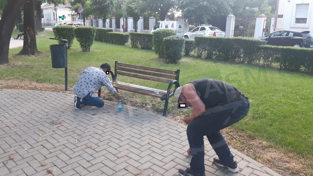 FOTOGALERIE. ”Sămânțarii” puși să strângă după ei, în fața Spitalului din municipiul Satu Mare