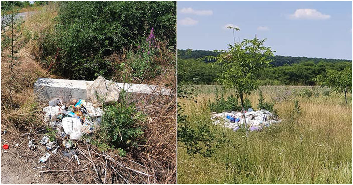 FOTO. După Marea Curățenie, drumurile și câmpurile din Satu Mare, transformate din nou în gropi de gunoi