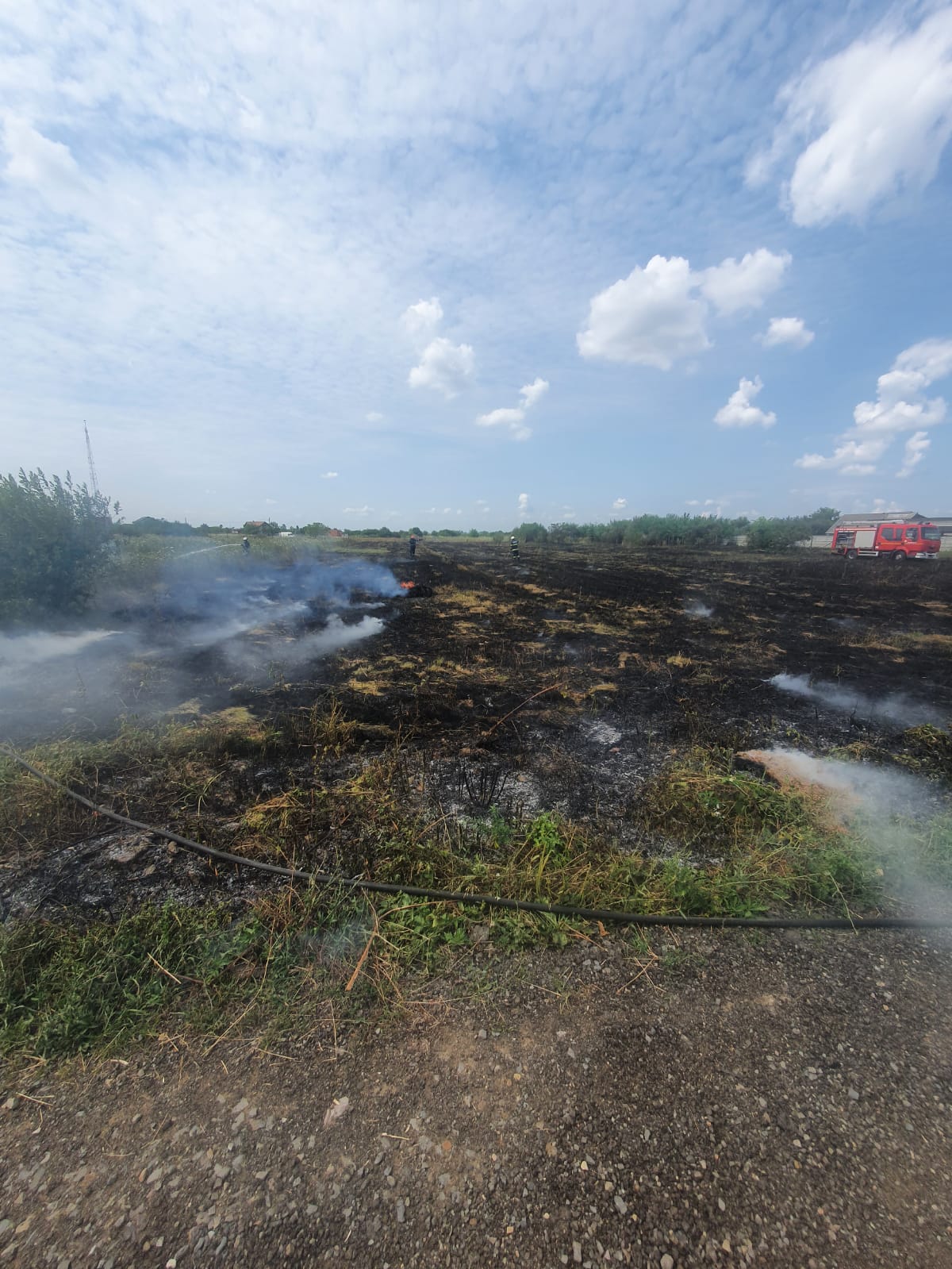 VIDEO. Incendiu aproape de parcul industrial din Satu Mare. Flăcările amenință utilaje și baloți de paie