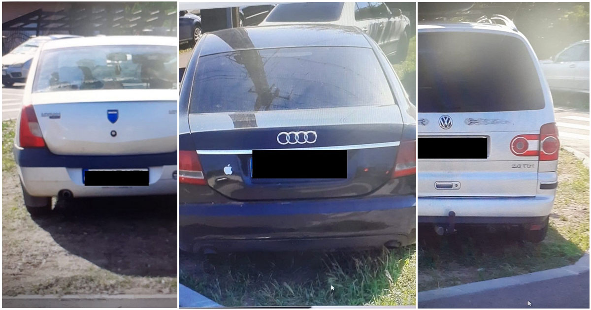 FOTO. Un primar din județ le-a pus gând rău celor care parchează pe spațiul verde: "Ar fi indicat să renunțe la comoditate"