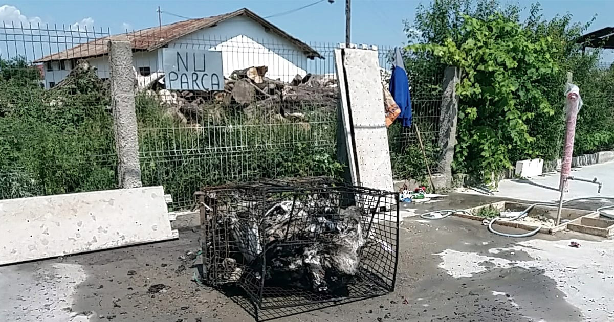 FOTO. Au dat foc deșeurilor din construcții. S-au ales cu o amendă de zeci de mii de lei