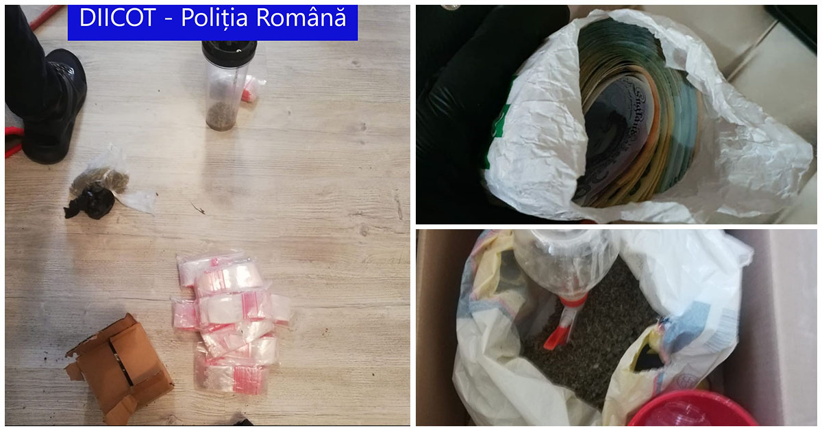 FOTOGALERIE. Arestări pe bandă rulantă în Satu Mare. Rețea de trafic de droguri, destructurată