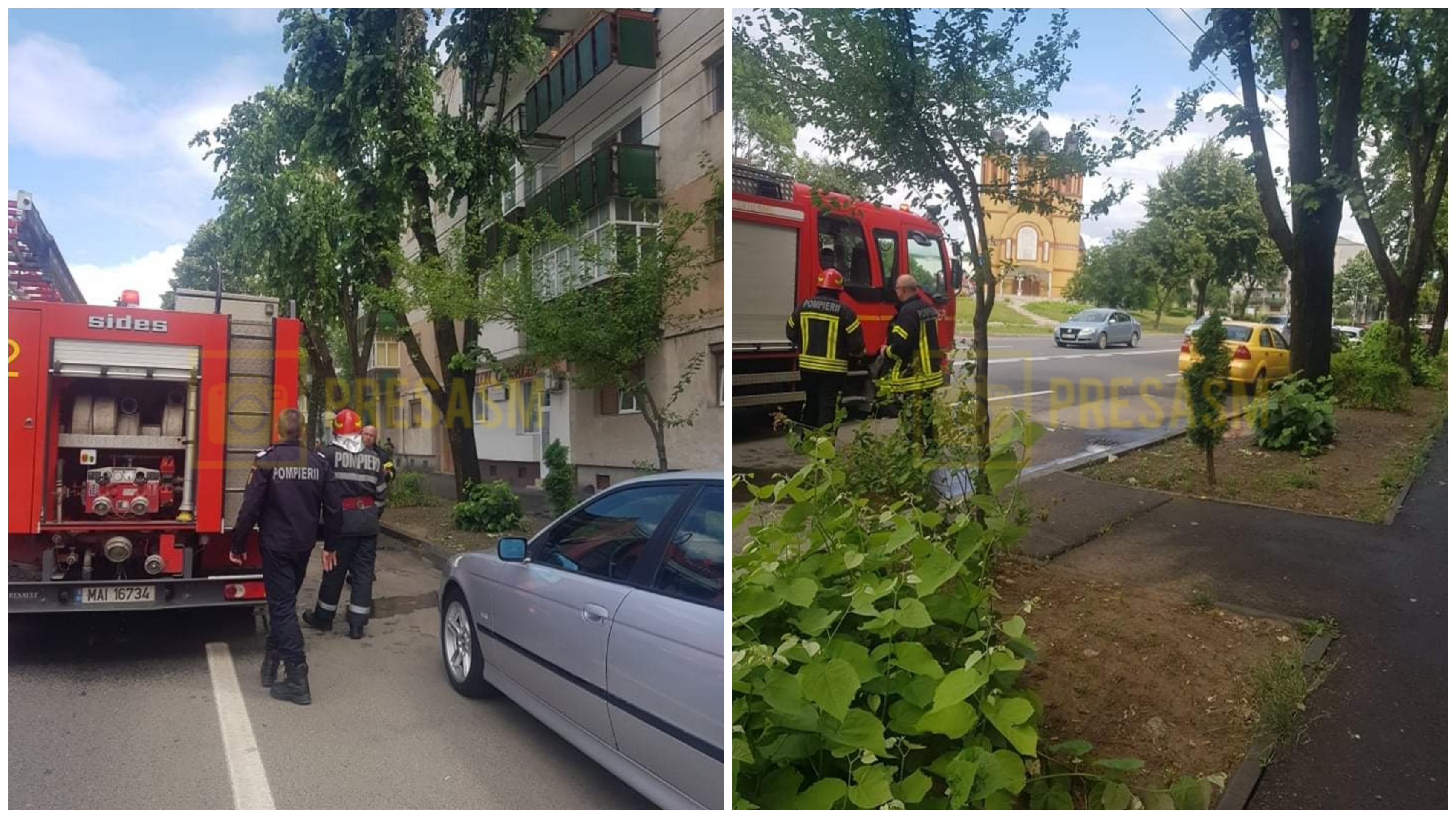 FOTO. Gyanús körülmények között lángra lobbant egy fa