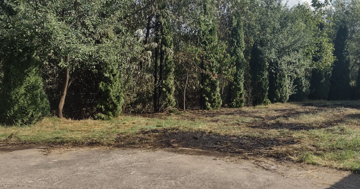 FOTO. Incendiu în județul Satu Mare. A dat foc câmpului cu o țigară