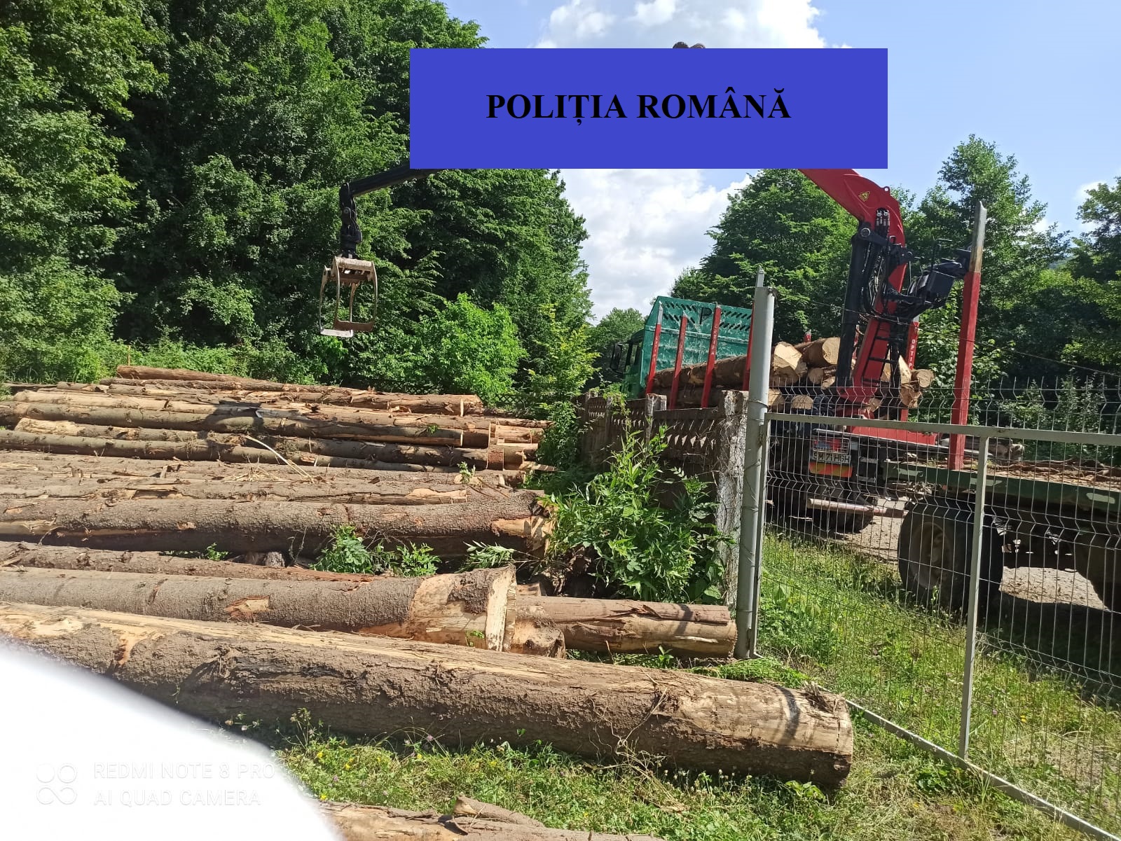 FOTO. Controale de amploare ale Poliției Satu Mare la ”băieții deștepți” care lasă județul fără păduri