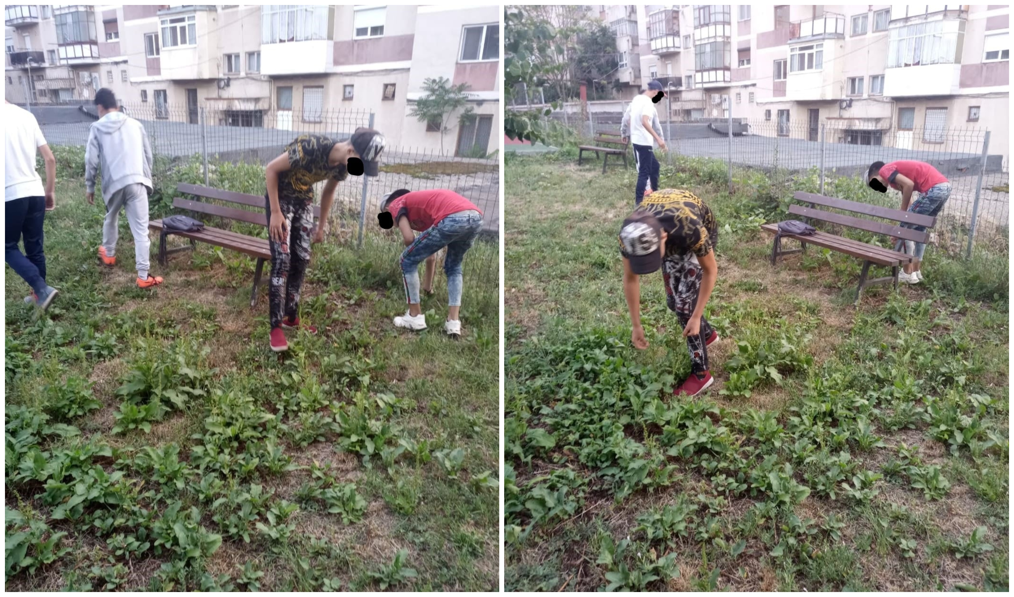 FOTO. Pedeapsa aplicată unor tineri (16 ani) într-un oraș din județul Satu Mare