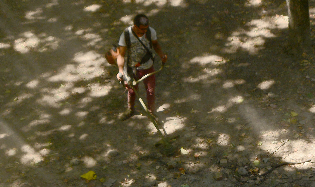 FOTOGALERIE. Nu e glumă! Se taie praful și ”iarba” imaginară în Satu Mare, pe banii publici