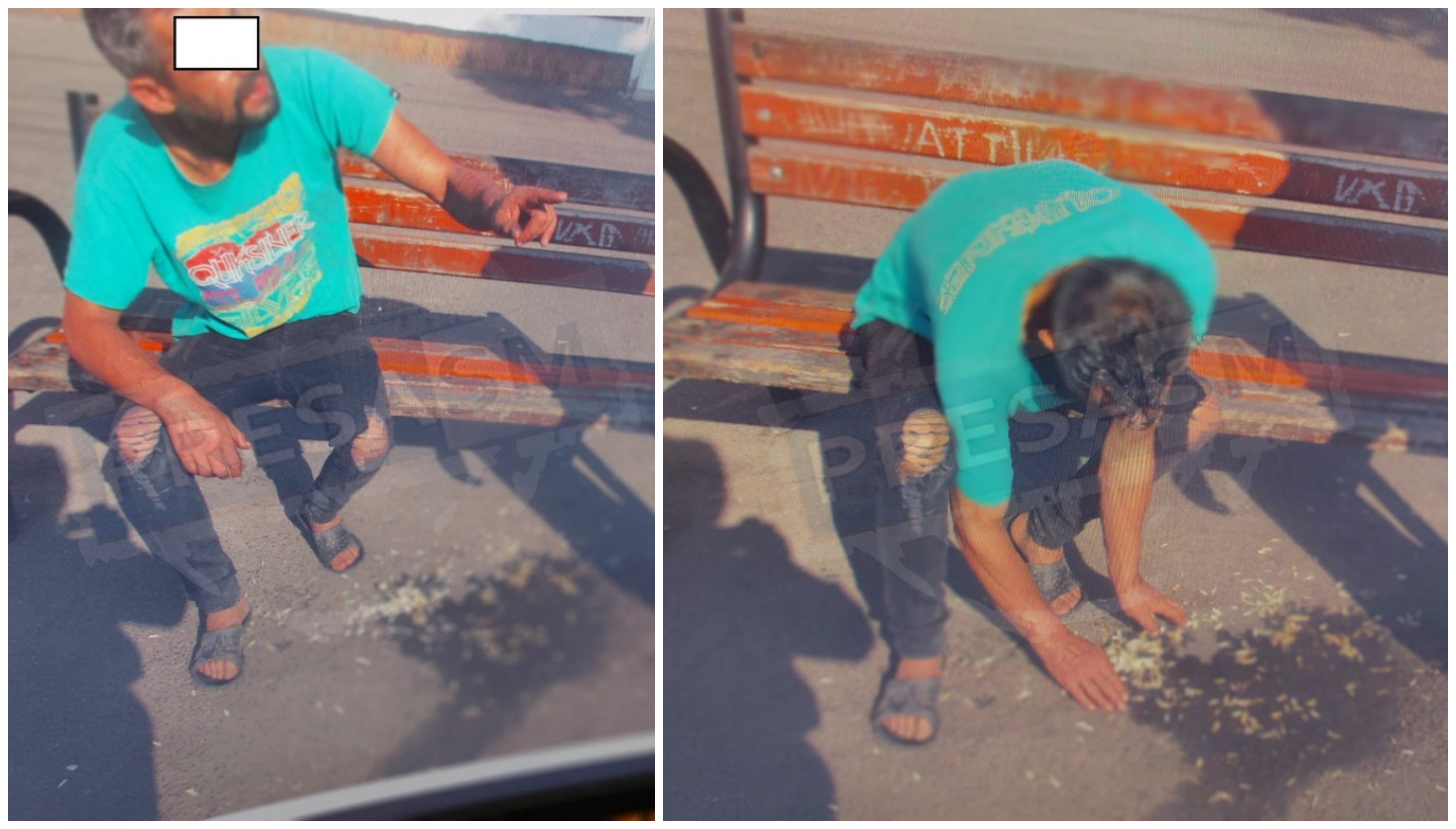 FOTO. ”Sămânțar” trezit din somn și pus să facă curățenie în municipiul Satu Mare