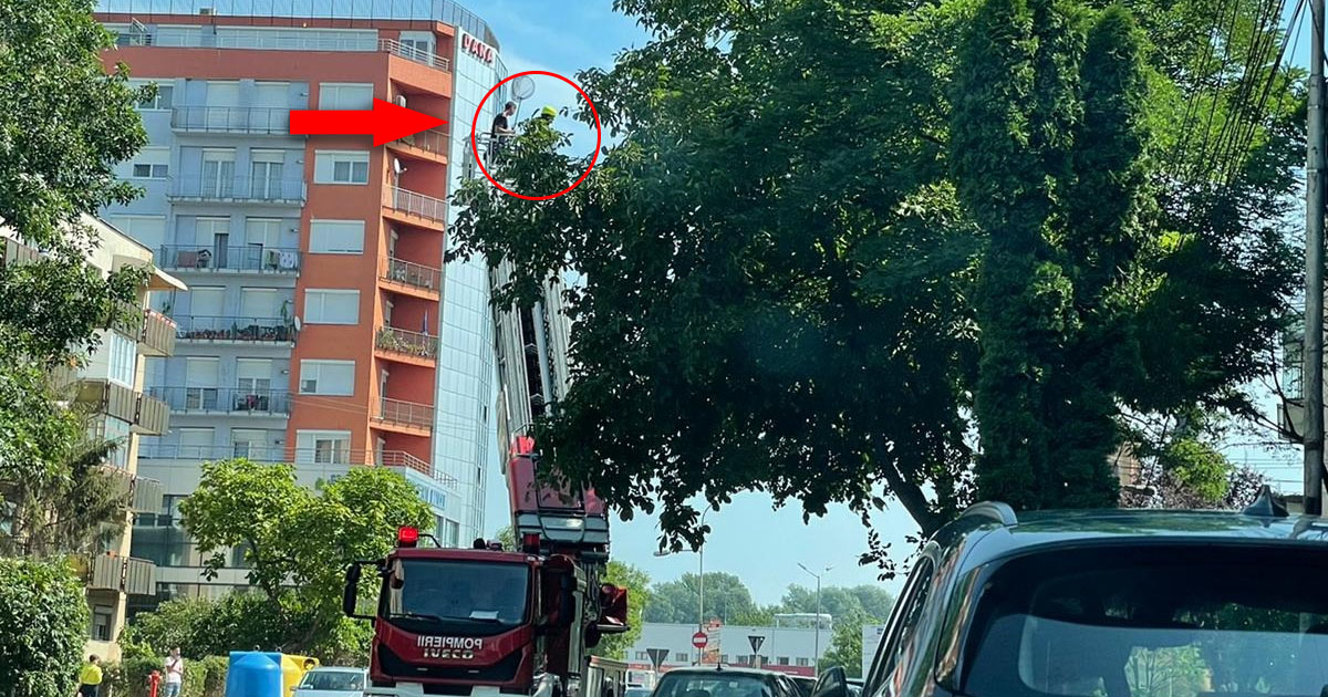 FOTO/VIDEO. Papagal blocat într-un copac din Cartierul Micro 17. Pompierii l-au ”vânat” peste o oră