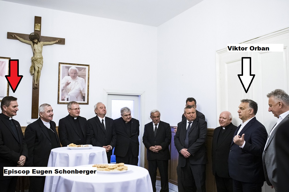 DOCUMENT. Episcopia Catolică, pionul Ungariei pentru Academia de Fotbal din Satu Mare