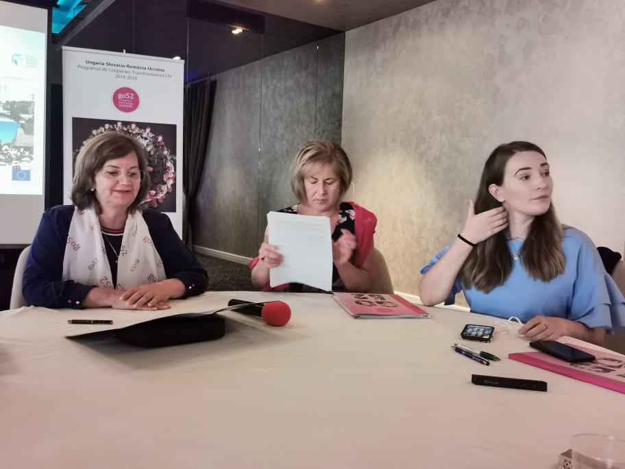 Zestrea Oașului. Concerte și spectacole de top la Negrești-Oaș. Urmează Gheorghe Zamfir, Direcția 5, Bere Gratis