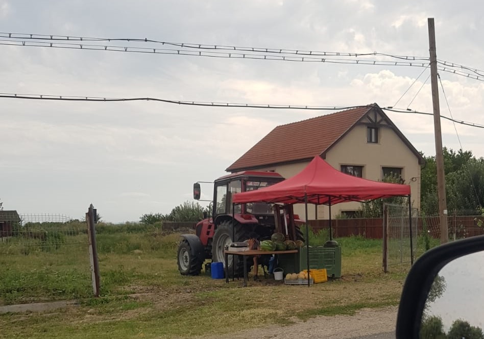 FOTOGALERIE. Liber la comerț oriunde în municipiul Satu Mare?! În piețe mai vând doar ”naivii”