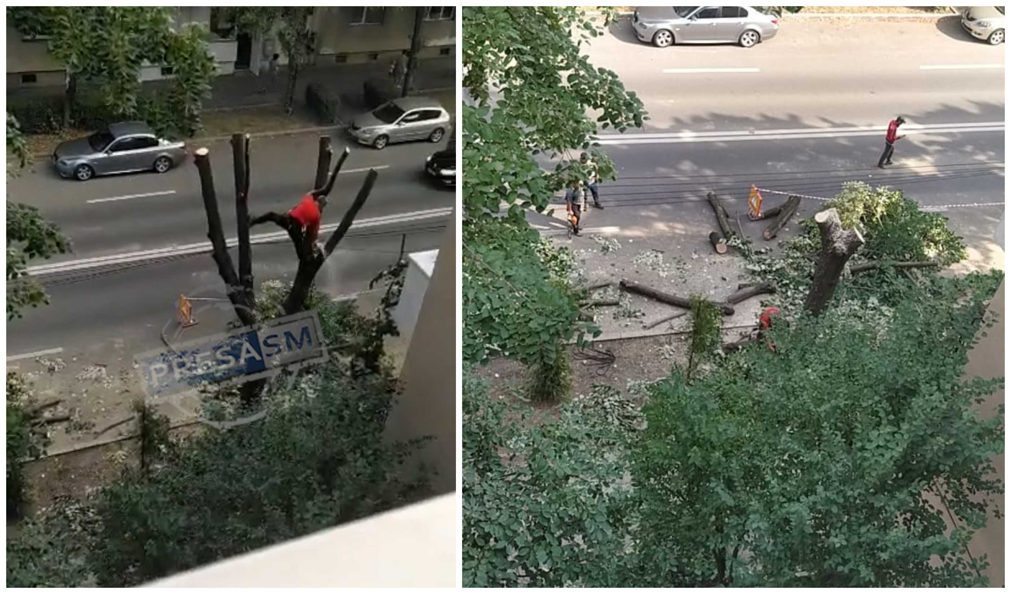 VIDEO. Conductă spartă, B-dul Independenței a fost blocat parțial. Drujbă activată, copac tăiat