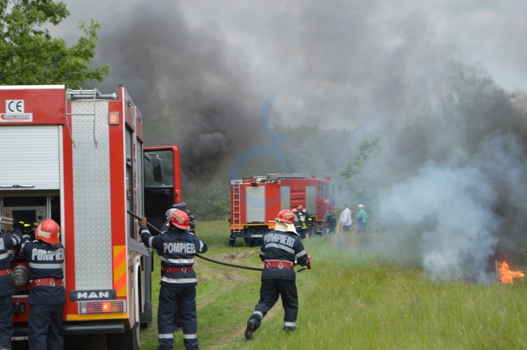 Incendiu la o pădure din județul Satu Mare. Fumul s-a văzut de la mai mulți kilometri