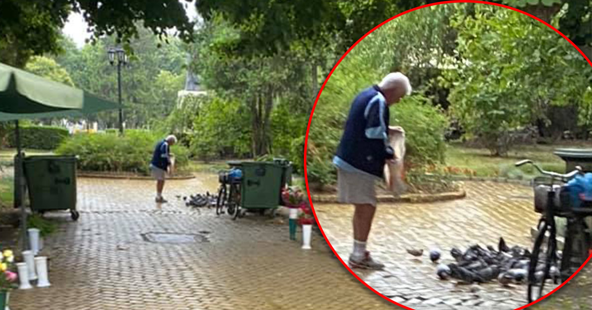 FOTO. Omul cu porumbei. Povestea sătmăreanului care hrănește înaripatele din parc