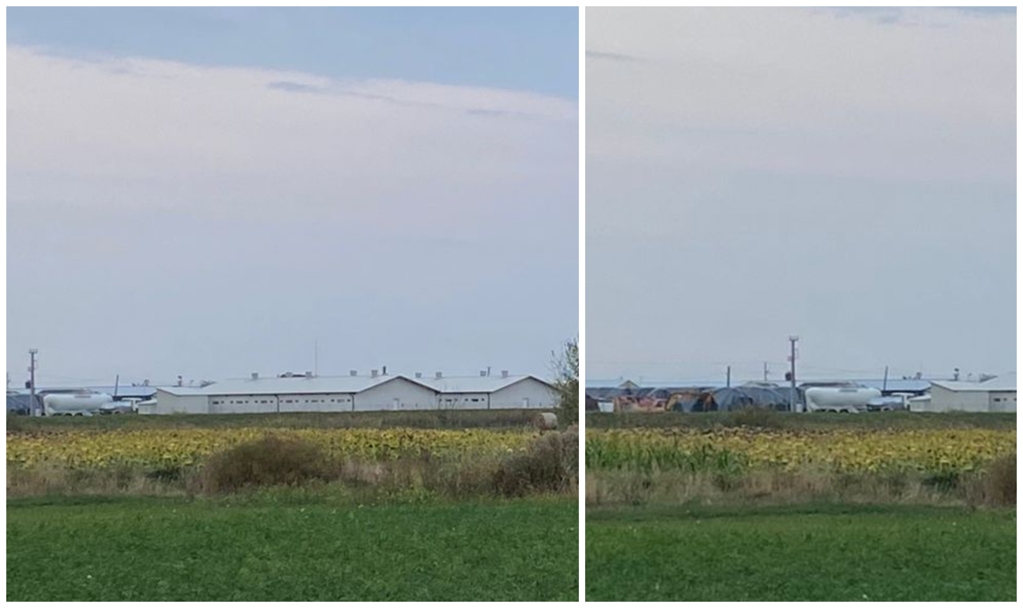 FOTOGALERIE. Cea mai împuțită, la propriu, comună din județul Satu Mare. Nu se poate respira