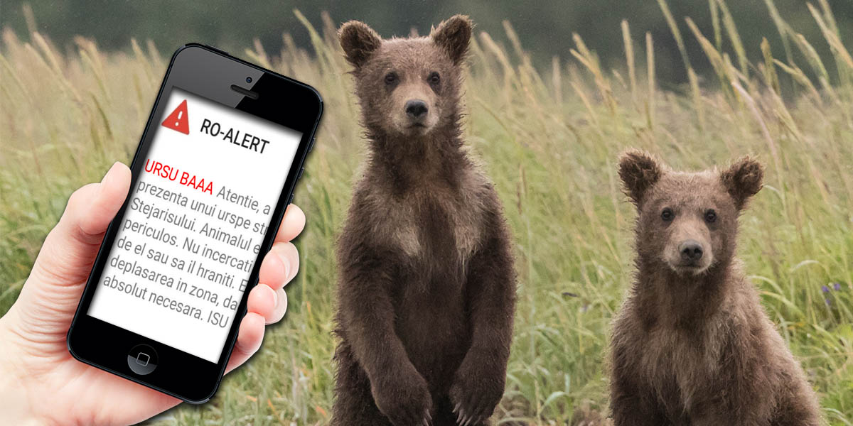 FOTO. Mesaje RO-ALERT la caterincă: „Ursu băăă“. Cercetare disciplinară la ISU Brașov