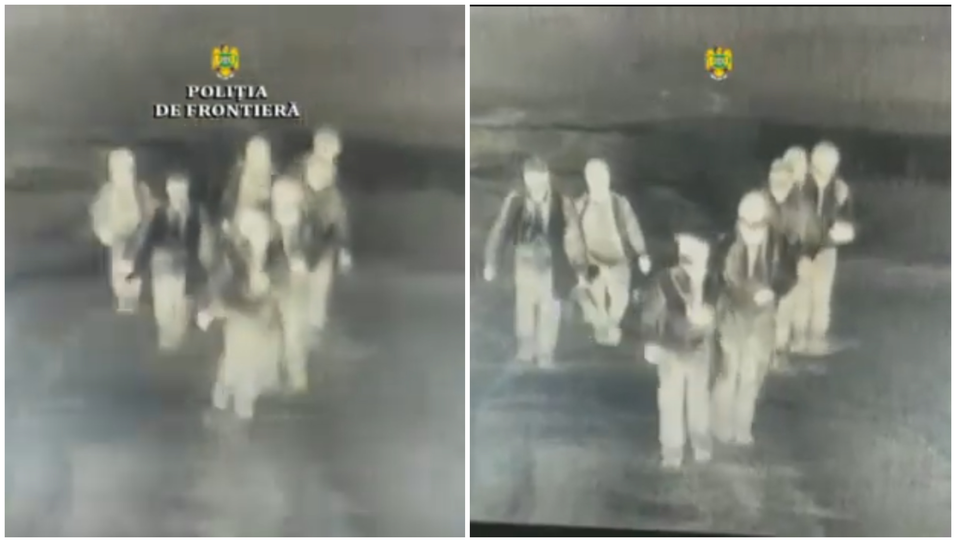 FOTO/VIDEO. FLAGRANT. Cum a fost surprins un grup de migranți lângă Carei
