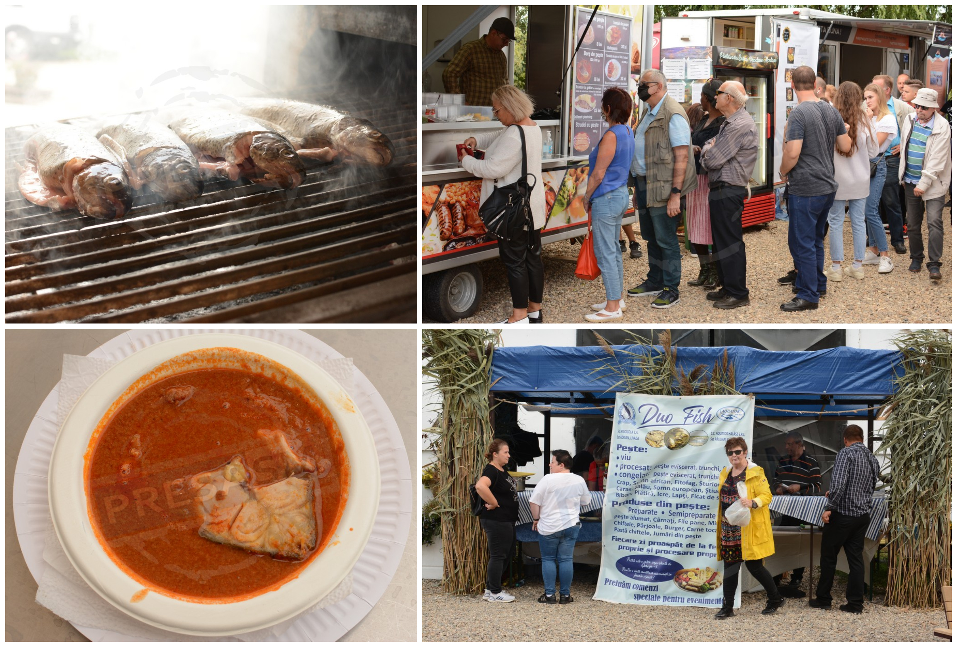 FOTOGALERIE. Festival pescăresc cu cele mai gustoase preparate, la Carei. Rețete una și una