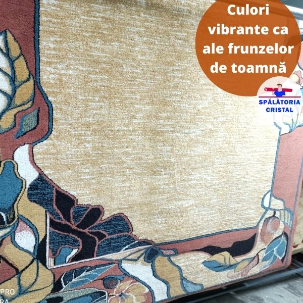 Spălarea la bară a covoarelor este istorie. Iată cum se curăță astăzi covoarele în Satu Mare