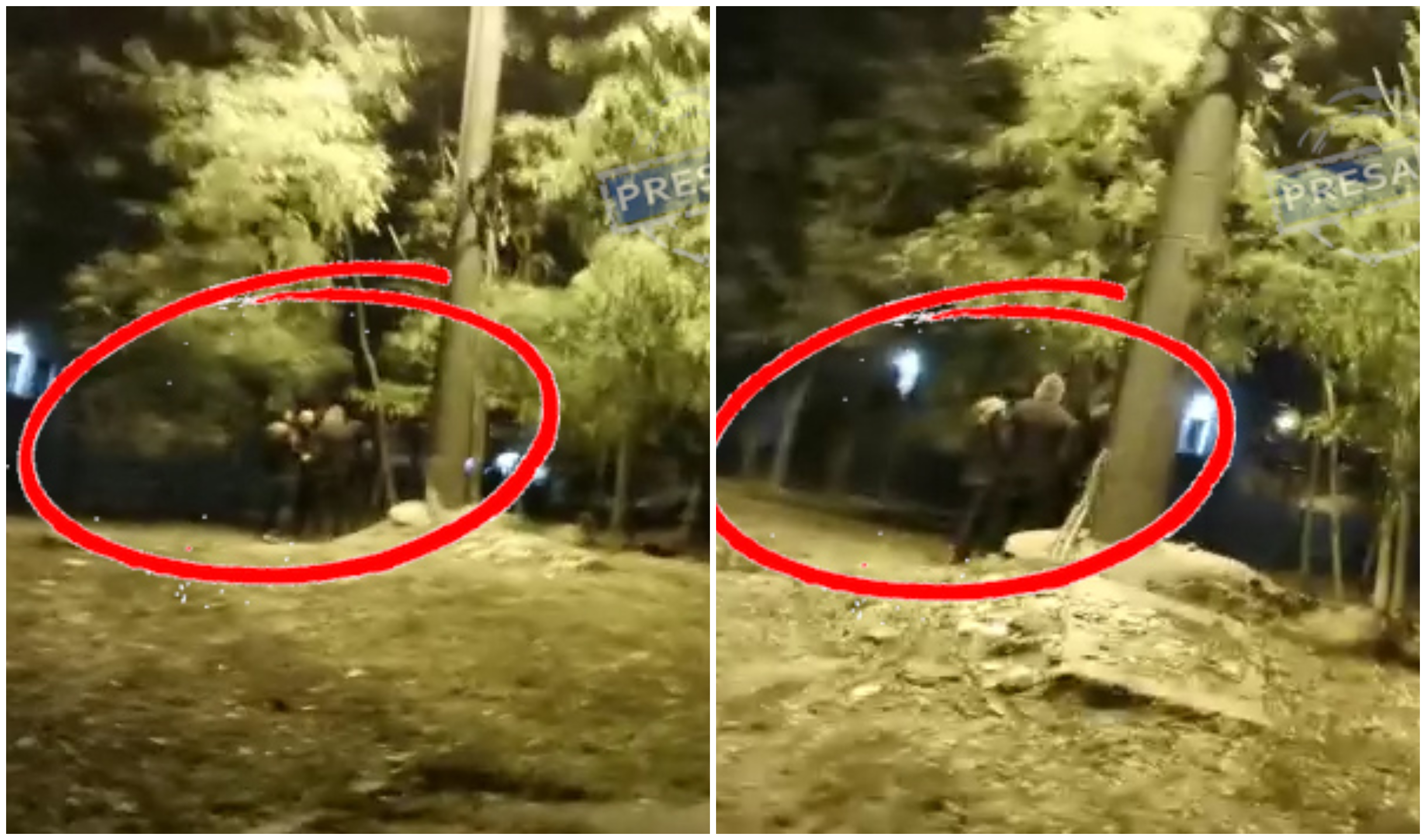 VIDEO. Traficanți de droguri în acțiune. Surprinși în flagrant, în municipiul Satu Mare