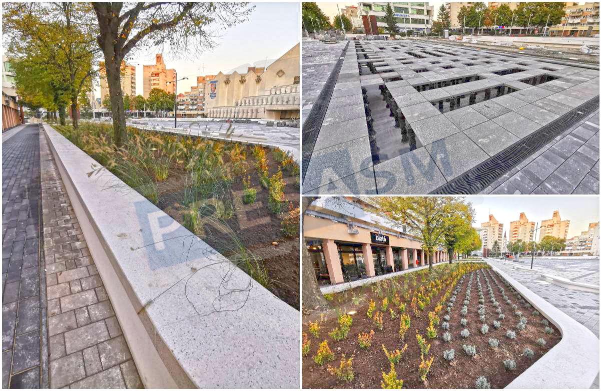 FOTOGALERIE. Centrul Nou din Satu Mare prinde culoare. Plante și multă lumină!