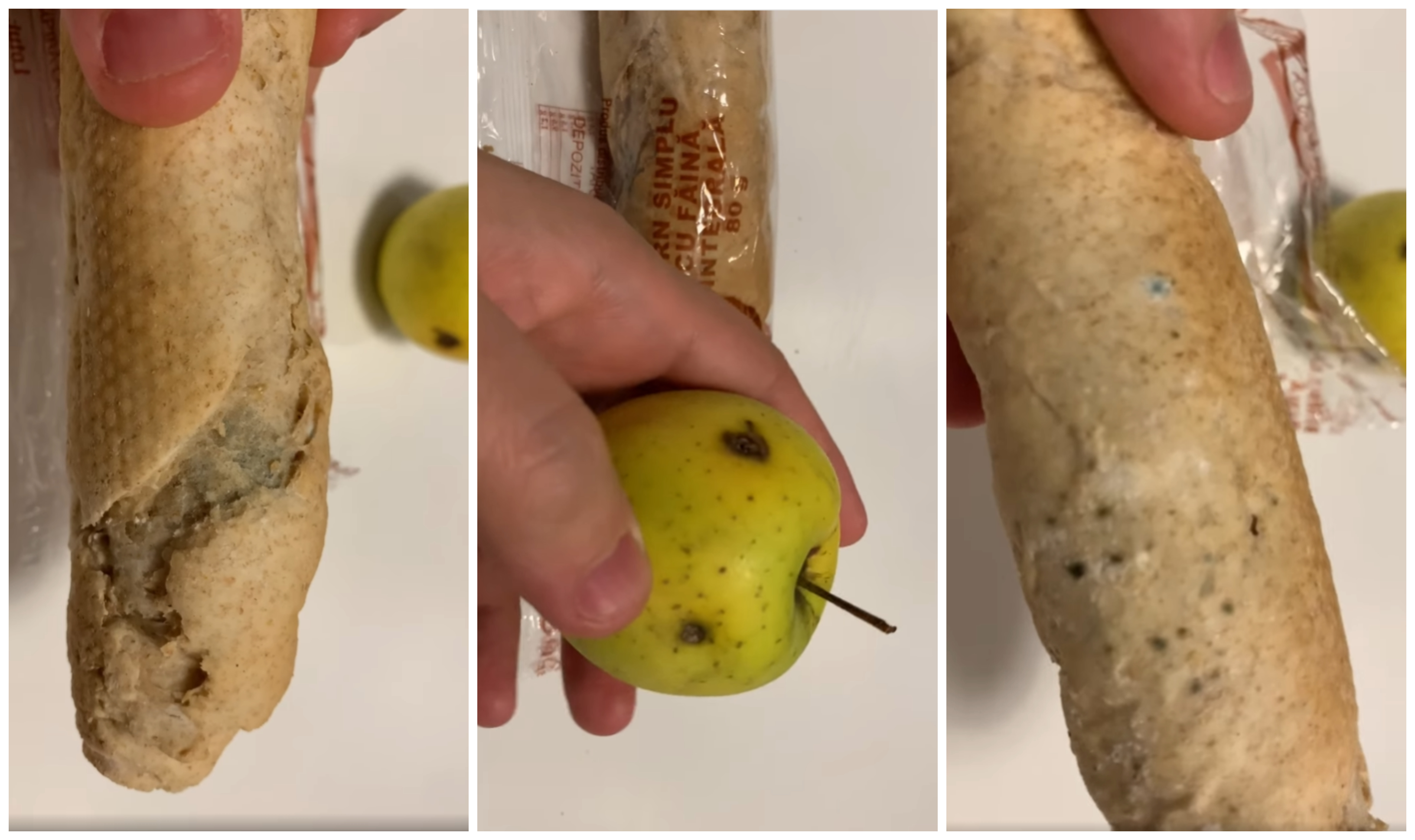 VIDEO. Corn cu mucegai și măr stricat. Meniul dat în bătaie de joc elevilor din Satu Mare