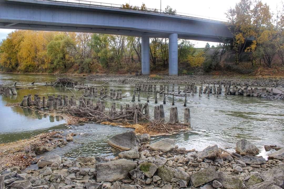 FOTO. Nivelul Someşului a ajuns la minimul istoric din ultimii 53 de ani, în Satu Mare