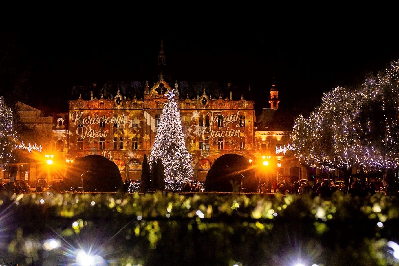 Anunț oficial! Când pornește iluminatul ornamental în municipiul Satu Mare