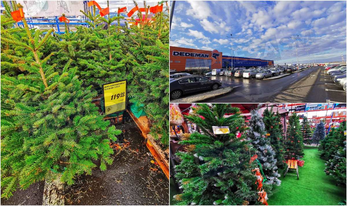 FOTOGALERIE. Aglomerație chiar și cu certificatul verde în marile magazine! Au apărut brazii în Satu Mare