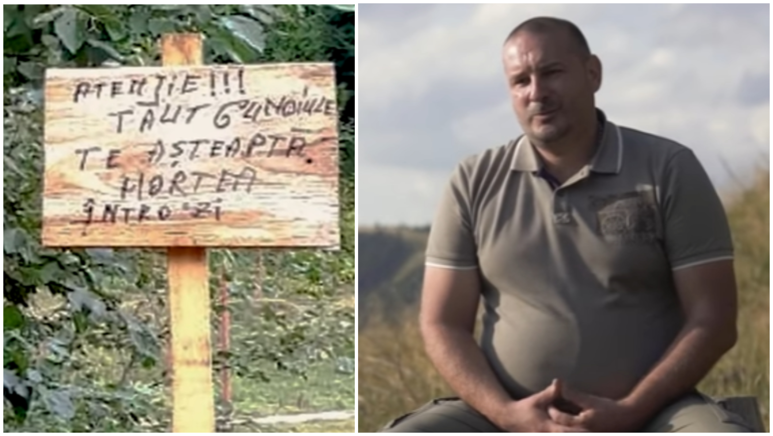VIDEO. Pădurar bătut și amenințat cu moartea de mafia lemnului! Statul român, fără reacție