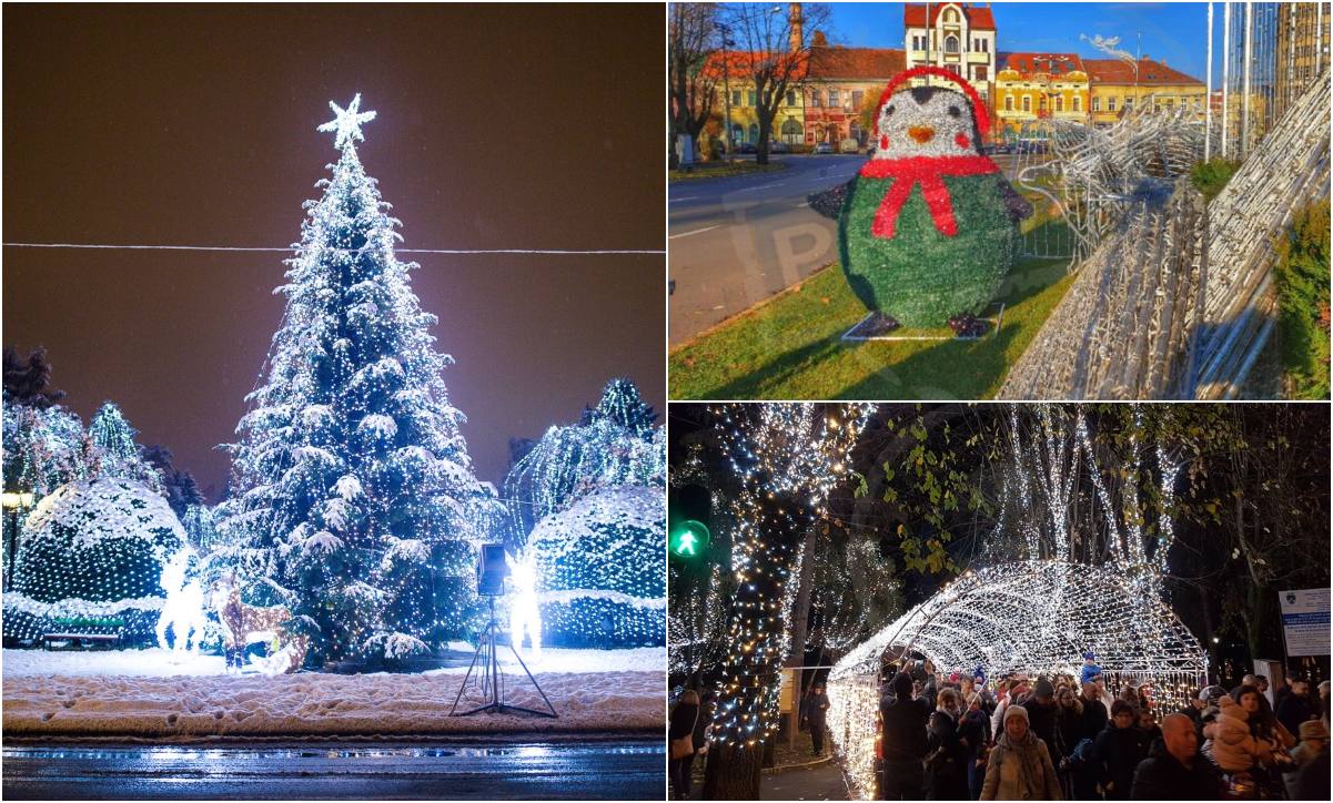 VIDEO. Târg de Crăciun, decor de poveste și Căsuța Moșului. Satu Mare se pregătește pentru sărbători feerice