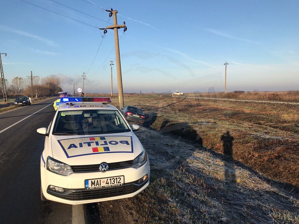 Zmeul din județ s-a îmbătat pulbere. Lui nu i-a trebuit permis să conducă mașini pe coclauri