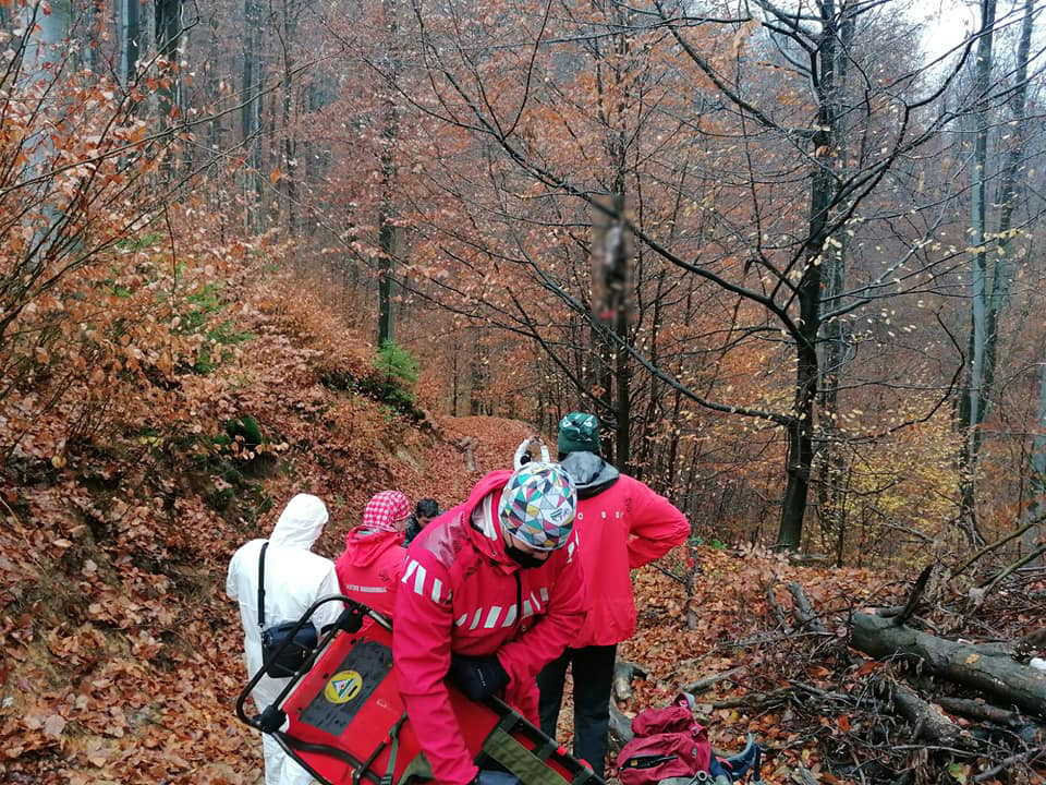 FOTOGALERIE. Bărbat găsit spânzurat într-un copac, la înălțime. Ascuns în pădure