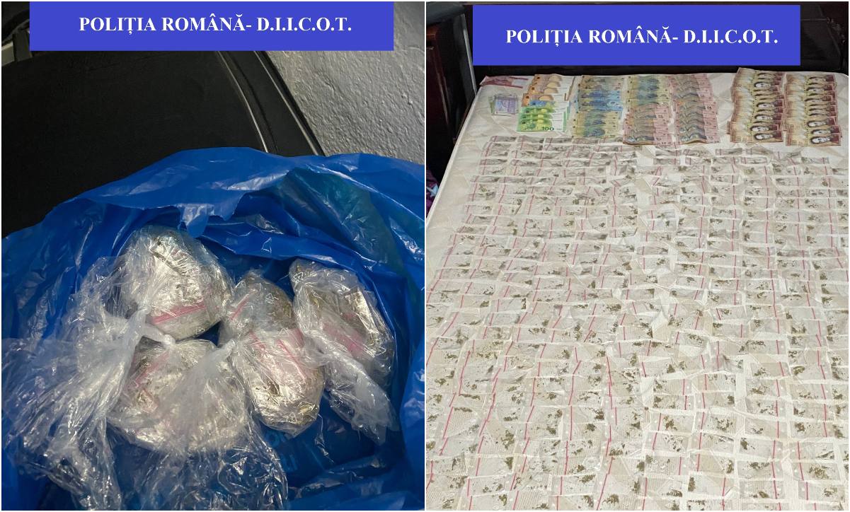 FOTO. Percheziții DIICOT la Satu Mare. Sătmărean reținut pentru trafic de droguri