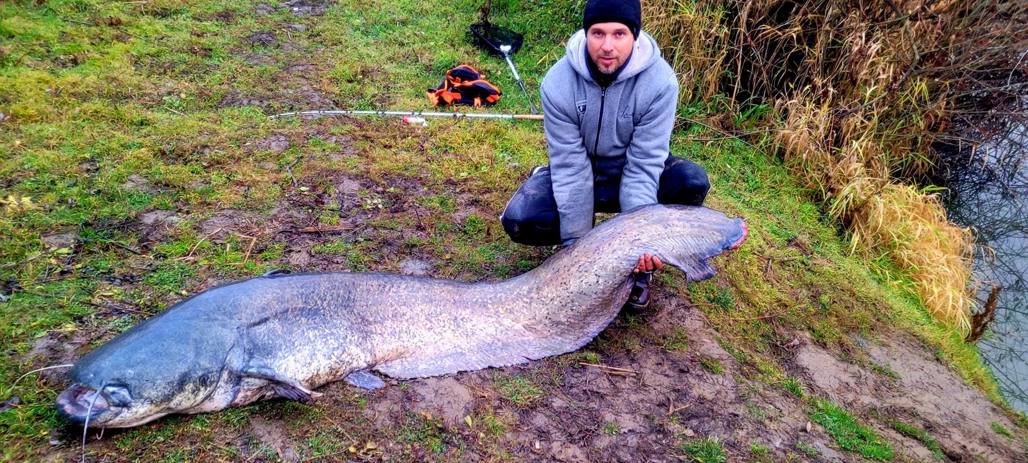 FOTO. Somn uriaș, de peste 2 metri, prins în județul Satu Mare. A fost eliberat